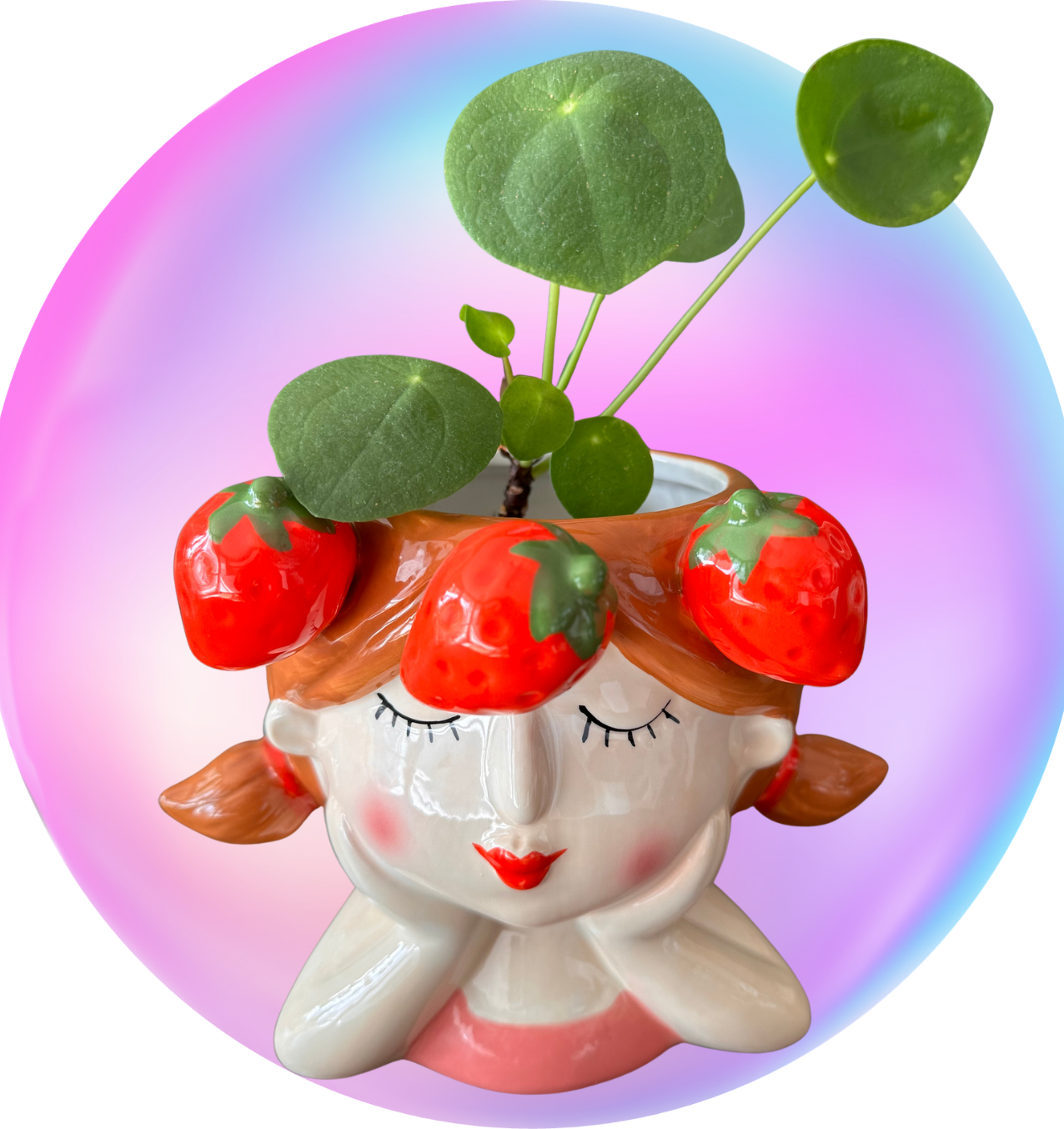 "Strawberry Dream" – Blumentopf