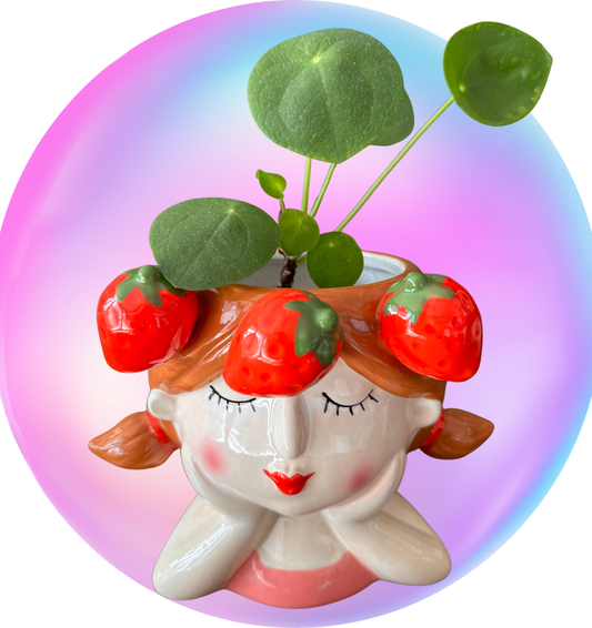 "Strawberry Dream" – Blumentopf